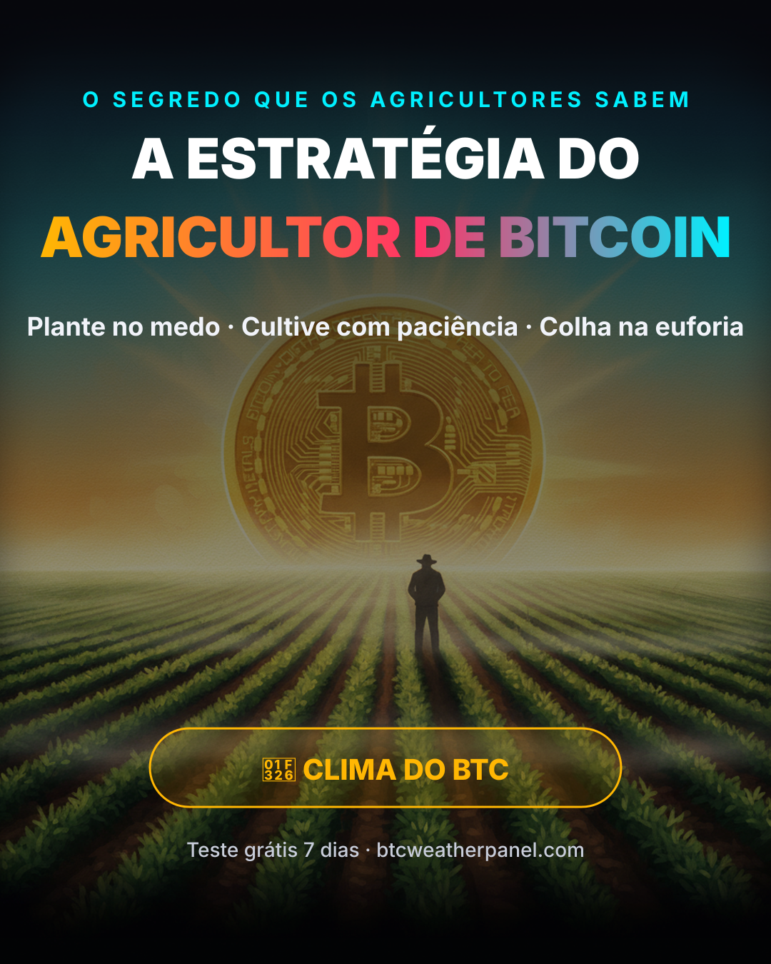 Capa do e-book BTC Weather Panel
